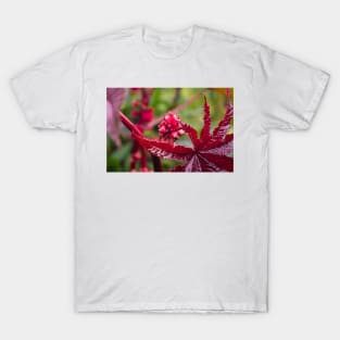 Garden of Eden T-Shirt